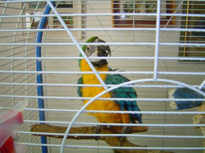 מה זה הכל? כבר התעייפת?את ממש לא בסדר!