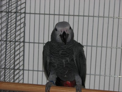 IMG_1735.JPG