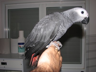 IMG_1738.JPG