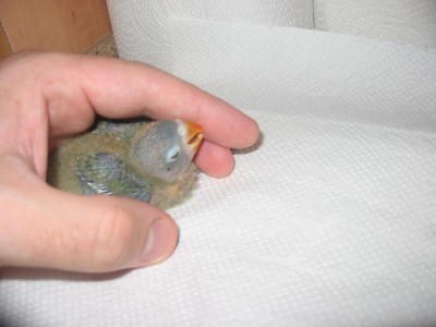 התפוצצתי.. עכשיו תן לישון.