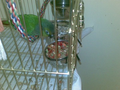 ארוחת בוקר בריאה...