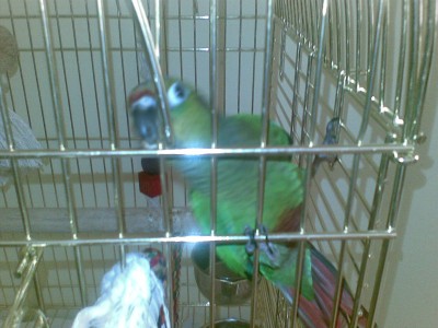 לא רוצה יותר...