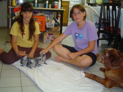 והם עשו זאת