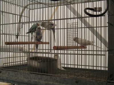 IMG_3040_1.JPG