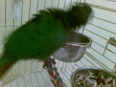 אחרי המקלחת.jpg