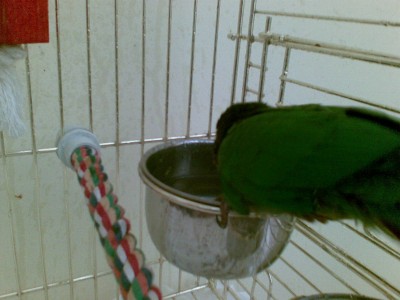 כדי טבילה.jpg