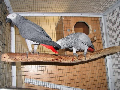 IMG_0684 (Medium).JPG