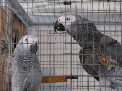 IMG_0701 (Medium).JPG