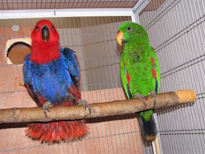 IMG_0712 (Medium).JPG