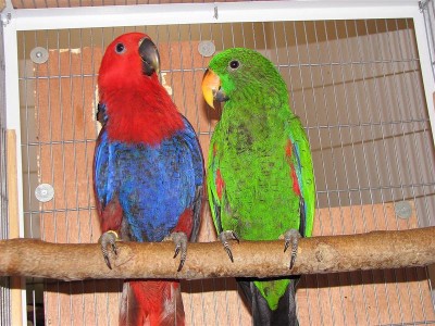 IMG_0715 (Medium).JPG