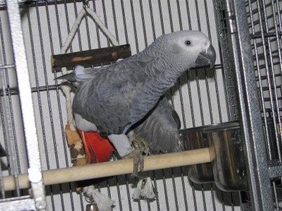 IMG_0033 (Medium).JPG