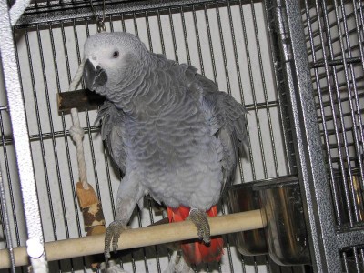 IMG_0035 (Medium).JPG