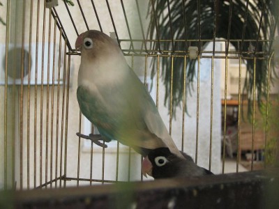 IMG_0181.JPG