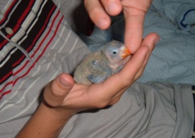 אני חמוד נכון