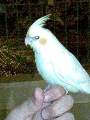 27072008(033).jpg