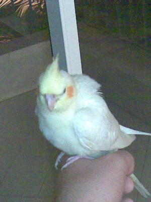 27072008(035).jpg