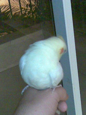 27072008(036).jpg