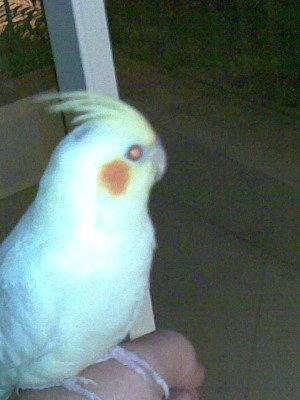 27072008(037).jpg