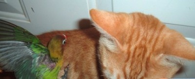 תופסת? אין בעיה תפסתי אותך!