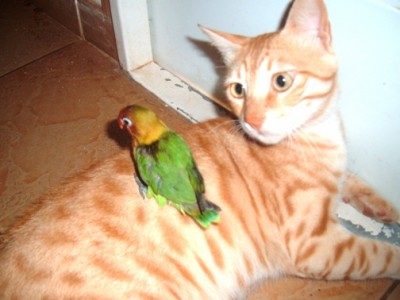 למה אתה מתישב?