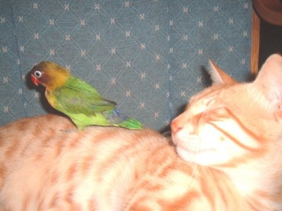 היי לאן אתה הולך