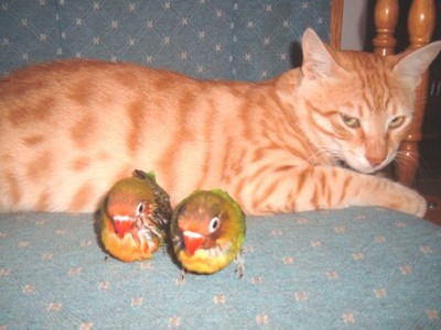 היי אתם כן אתם אני רואה אתכם