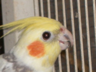 SANY4918.JPG