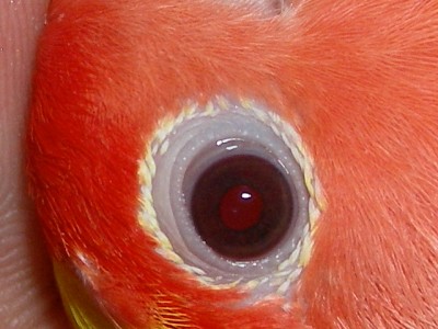 SANY4917.JPG