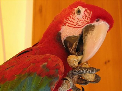 IMG_2274.JPG