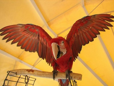 IMG_2261.JPG
