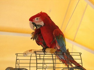 IMG_2260.JPG