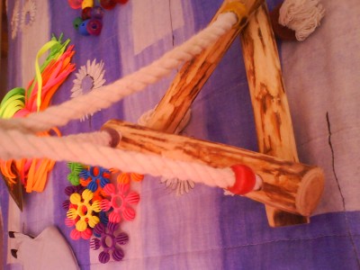 לתוכי גדול.JPG