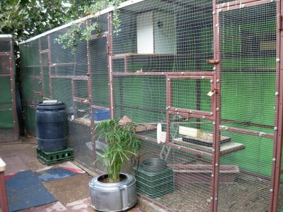 נובמבר 015.jpg