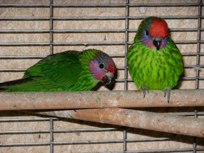 נובמבר 008.jpg