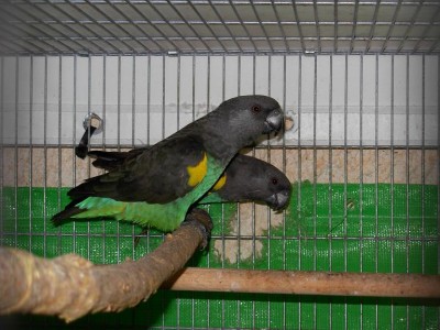 נובמבר 011.jpg