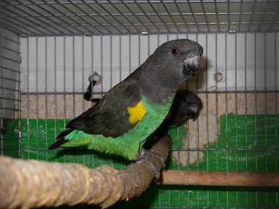 נובמבר 012.jpg