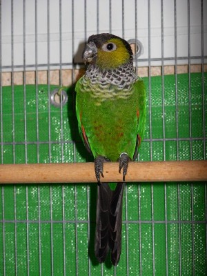 נובמבר 010.jpg