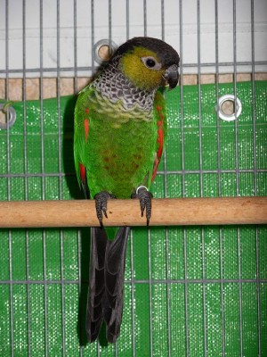 נובמבר 013.jpg