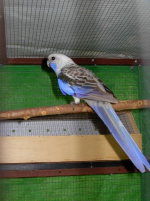 נובמבר 017.jpg