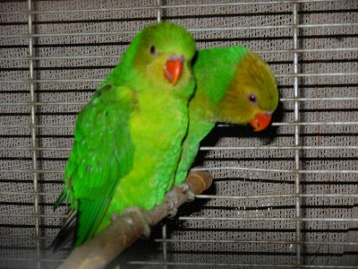 נובמבר 027.jpg