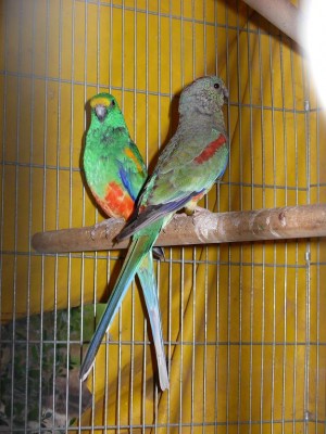 נובמבר 032.jpg