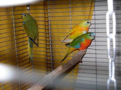 נובמבר 041.jpg