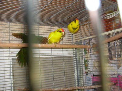 נובמבר 044.jpg