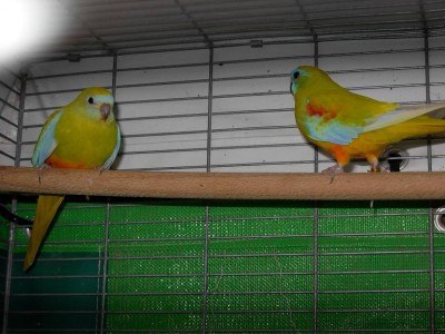 נובמבר 047.jpg