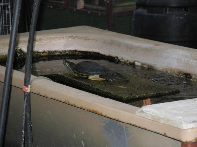 נובמבר 066.jpg