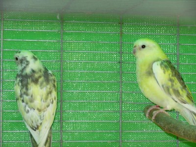 נובמבר 068.jpg