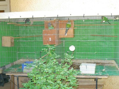 נובמבר 069.jpg