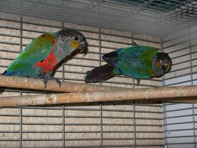 צ'קים 08 028.jpg