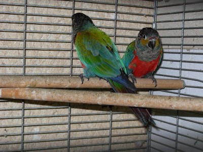 צ'קים 08 026.jpg