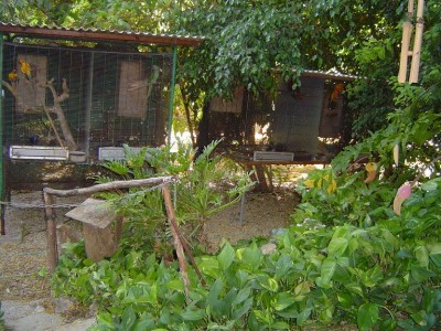 יש לי כרטיס בשורה הראשנה של הטבע